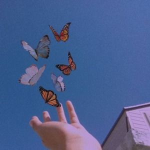 Meet your Posher, Jada